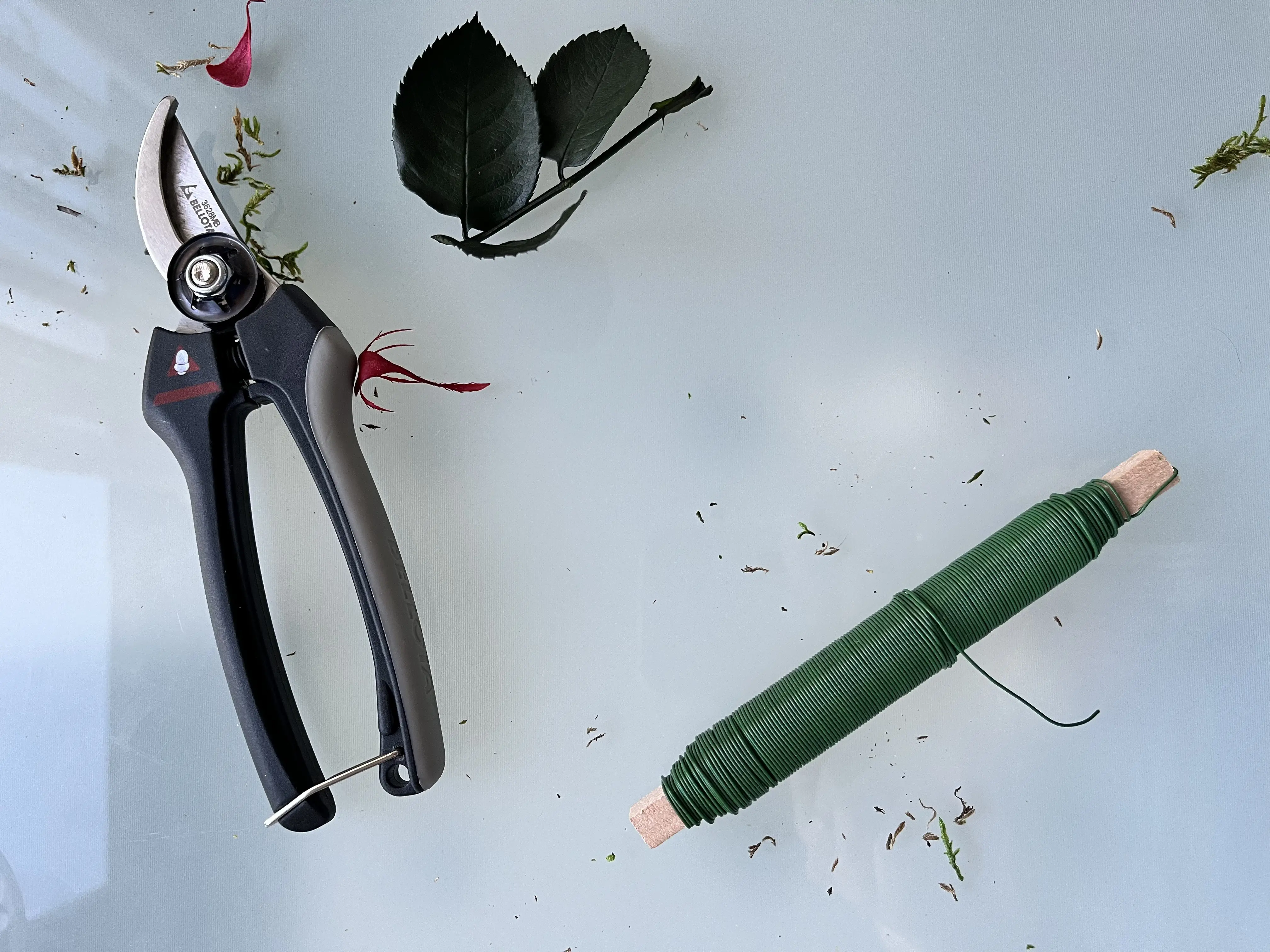 términos y condiciones